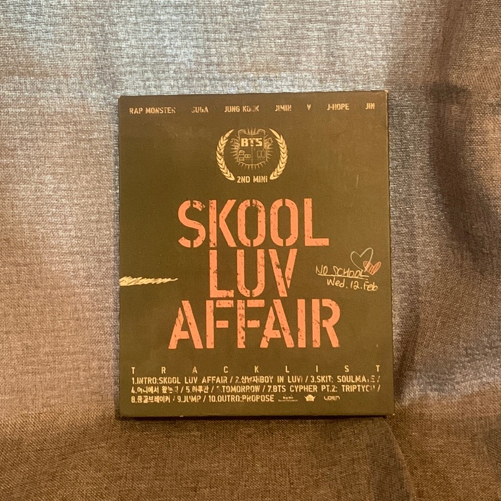 Skool luv affair